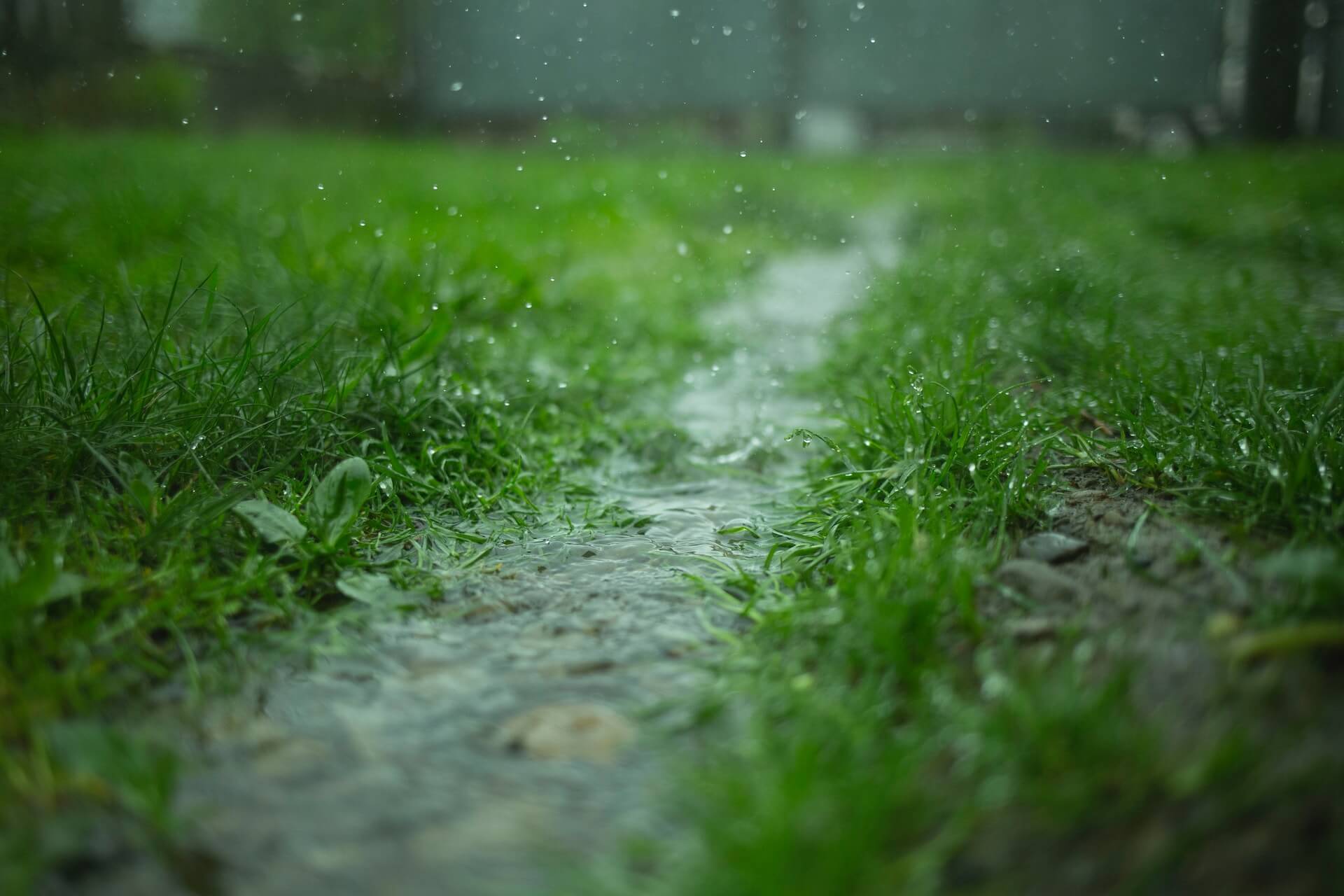Eau de pluie qui s'accumule au bord d'une gouttière